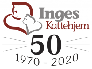 Støt Inges Kattehjem