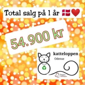Støt Inges Kattehjem