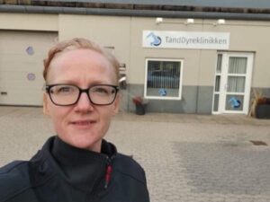 Støt Inges Kattehjem