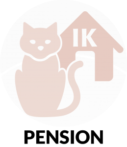 Støt Inges Kattehjem