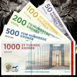 Støt Inges Kattehjem