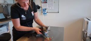 Dyrlægeklinikken